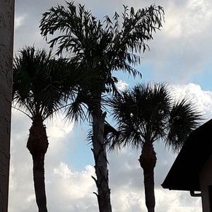 Meet your Posher, Kaylie